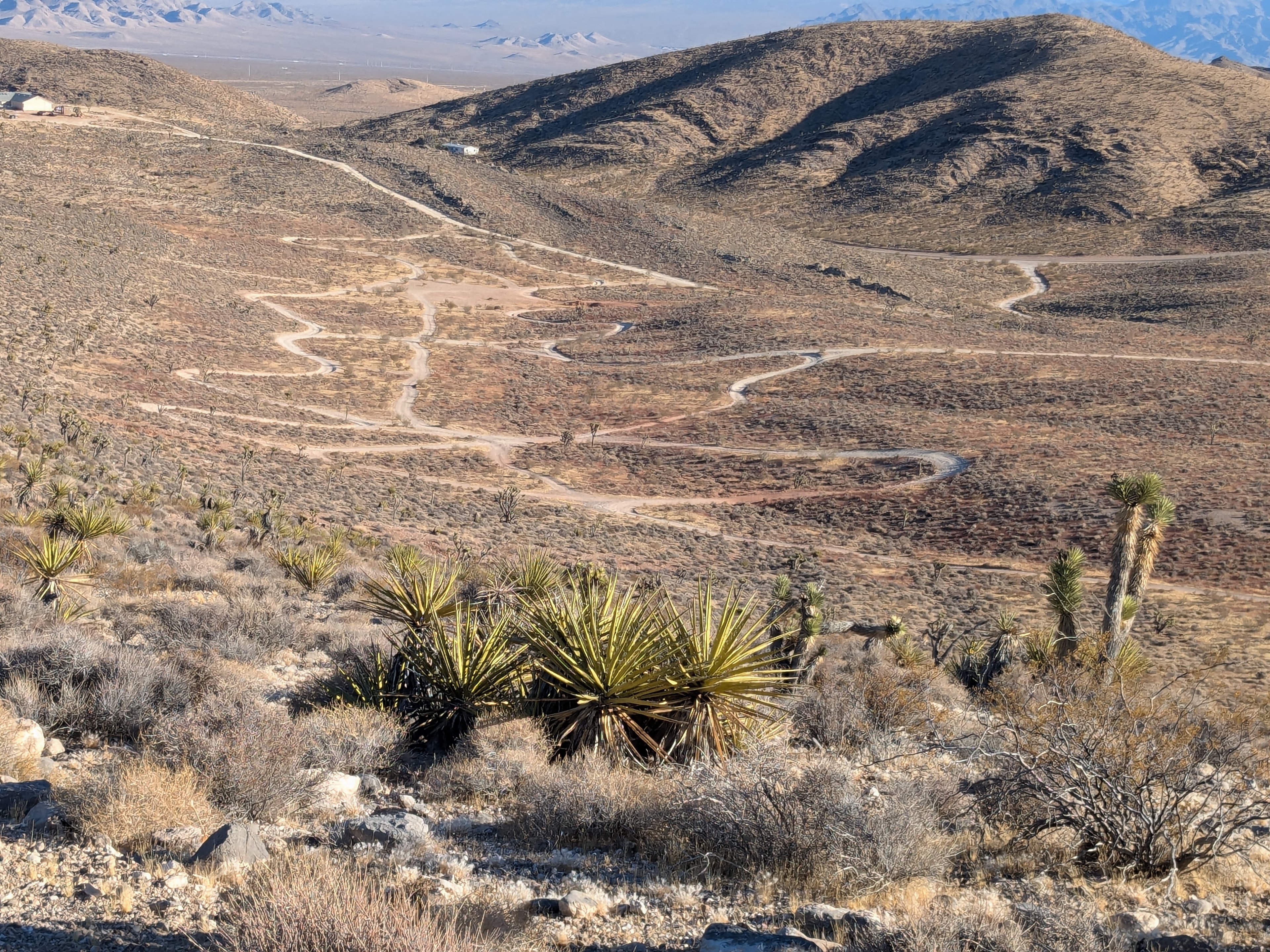 Vegas ATV Adventures photo 5