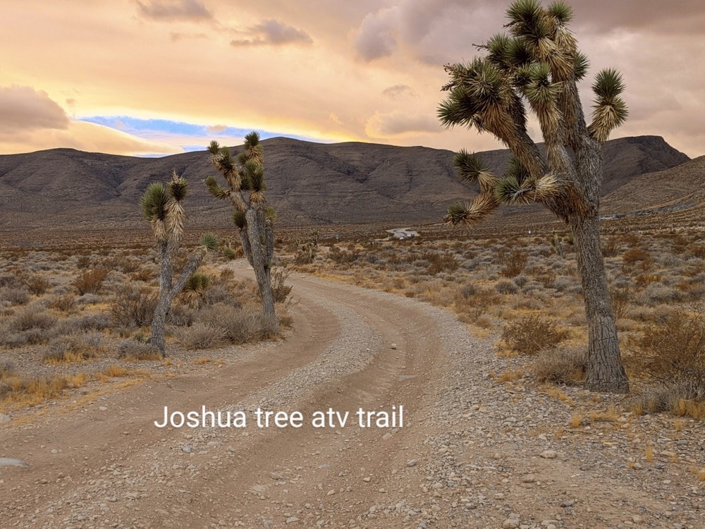 Vegas ATV Adventures photo 6